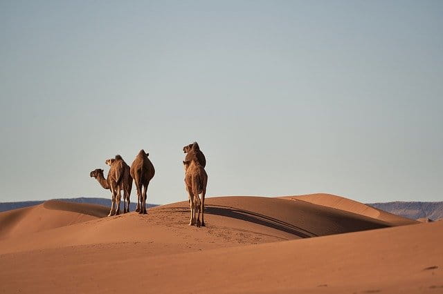 viaggiare marocco