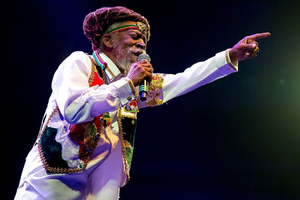 morto bunny wailer